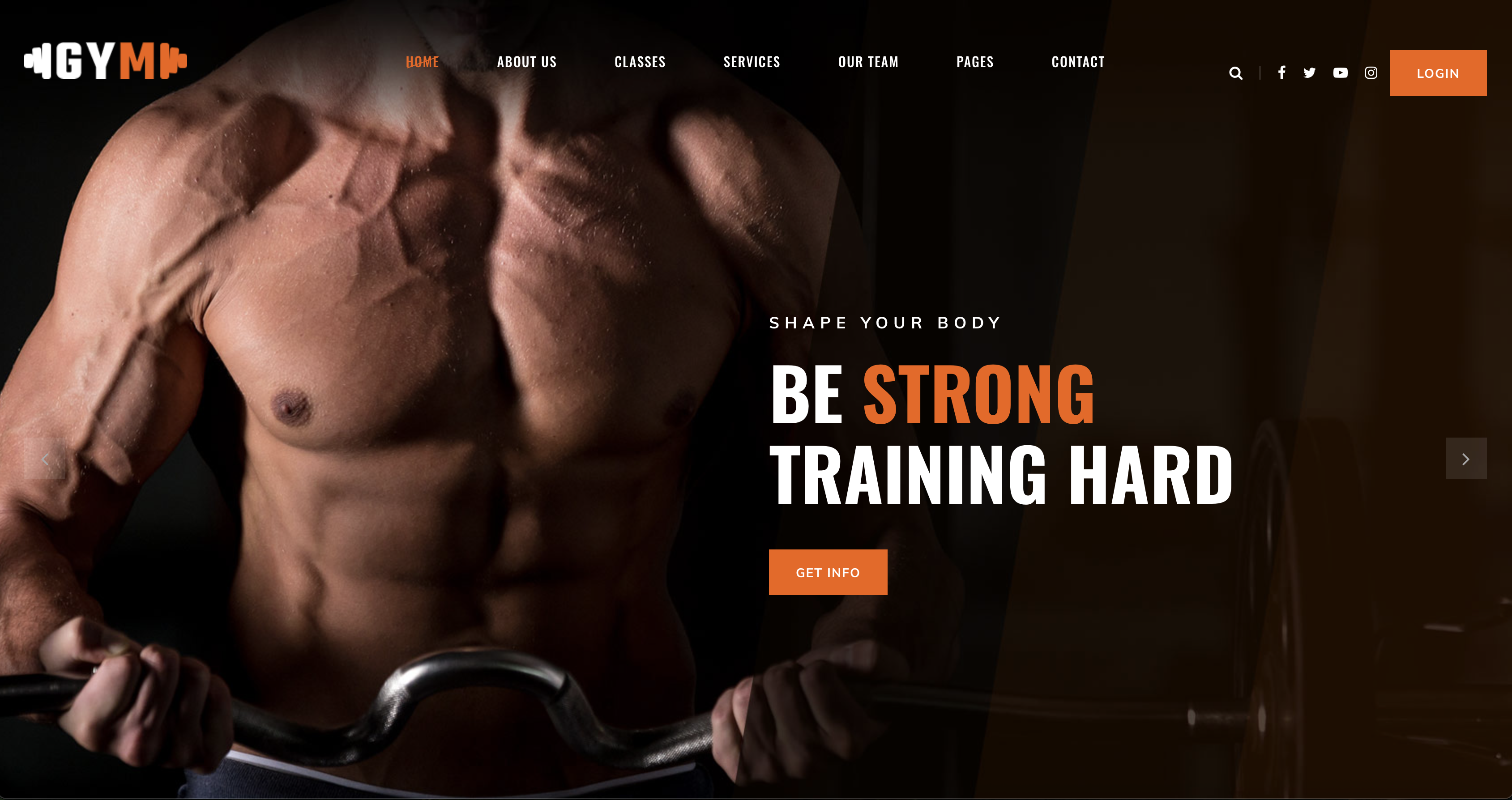 Web Development Project